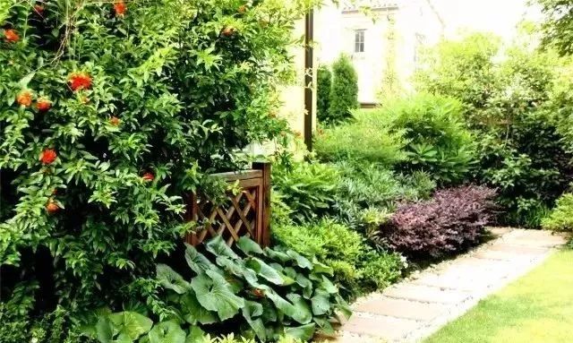 园林景观植物绿化设计方法解析-80