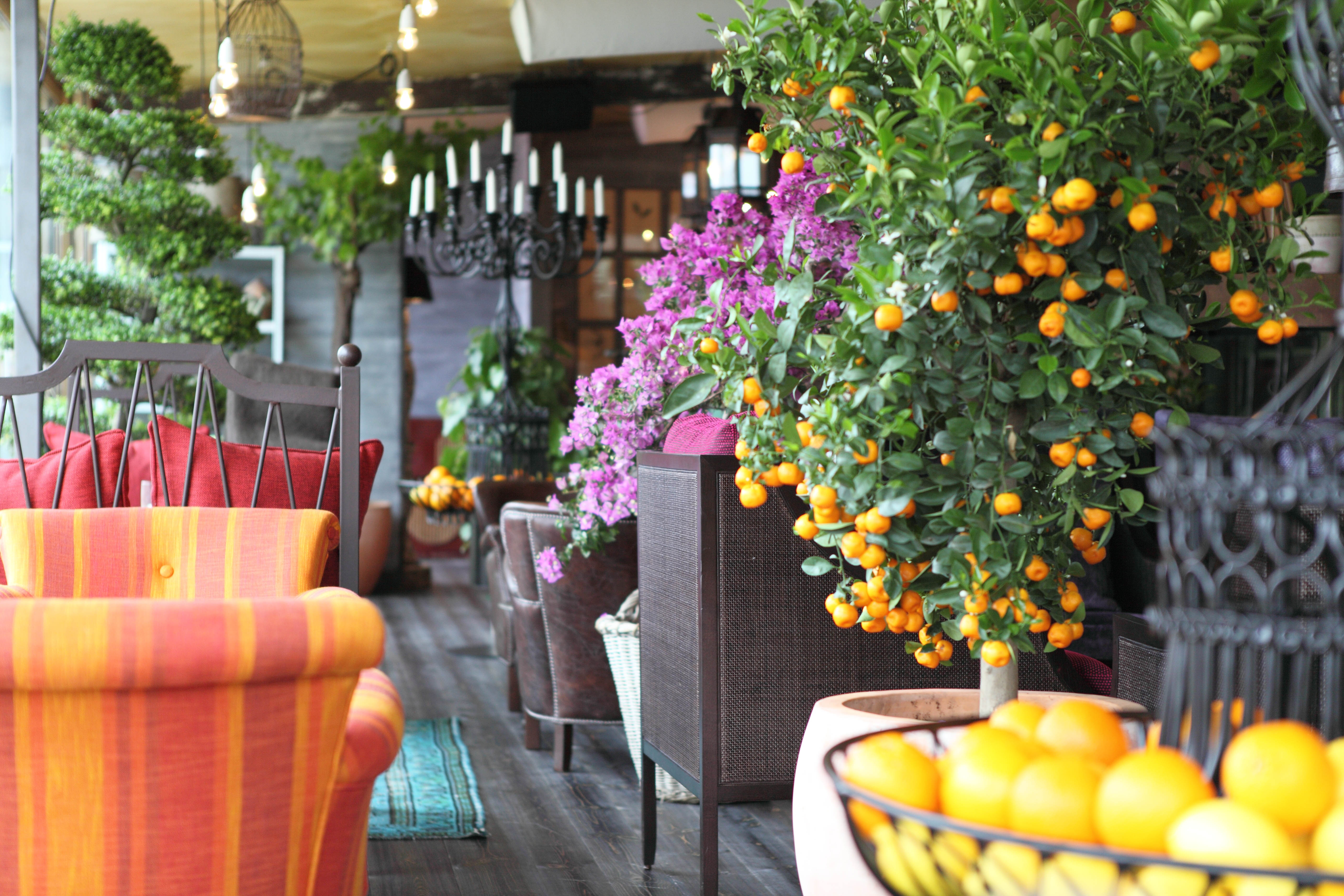 Orangeriet | Stylt Trampoli AB-0