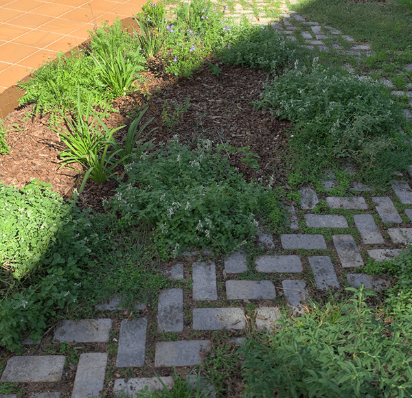 Cassà de la Selva室外空间改造与建设项目-8