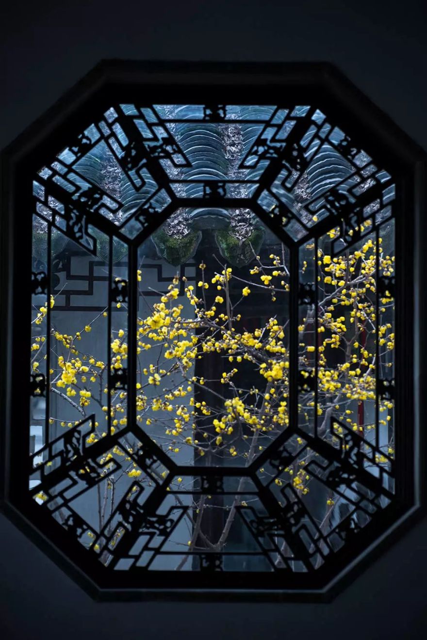 窗景如诗 | 四季园林,诗意生活-80