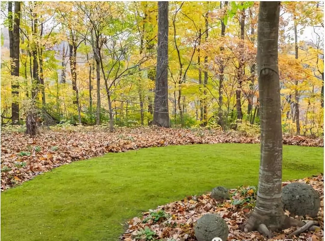 庭院花境中的土壤覆盖物设计与应用-30