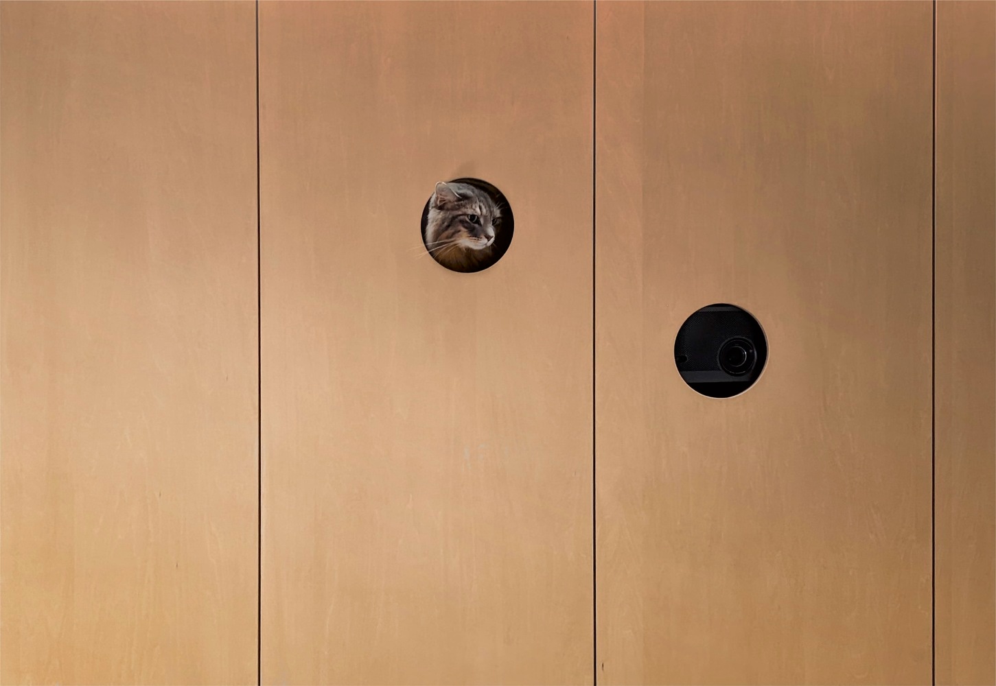 凹屋 · 二手公寓改造丨日本丨Hiroyasu Imai-6