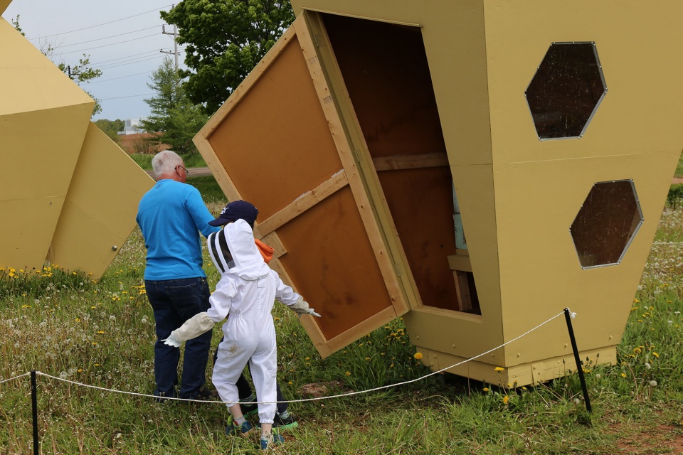 城市蜂巢 · 加拿大社区蜜蜂教育项目-13