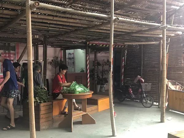 武欣：命途多舛的小路改造记-91