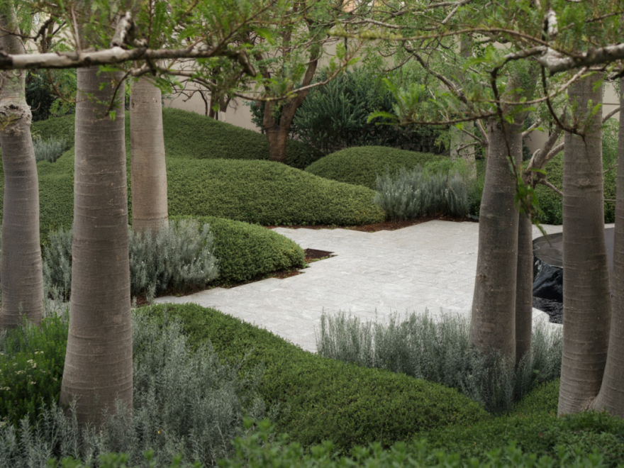 深圳后海招商玺丨中国深圳丨承迹景观Change Studio等多家公司-29