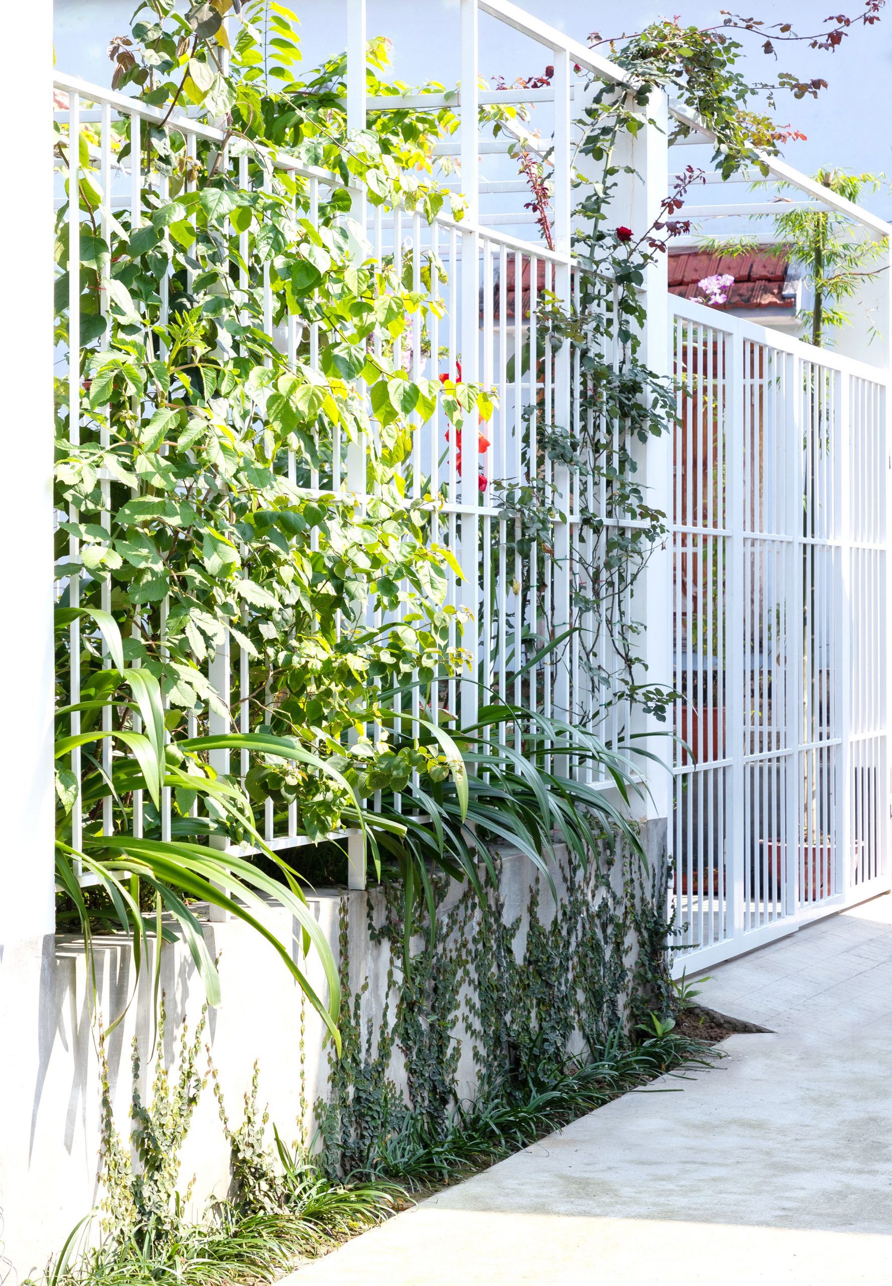 "3gian" 现代乡村住宅-37