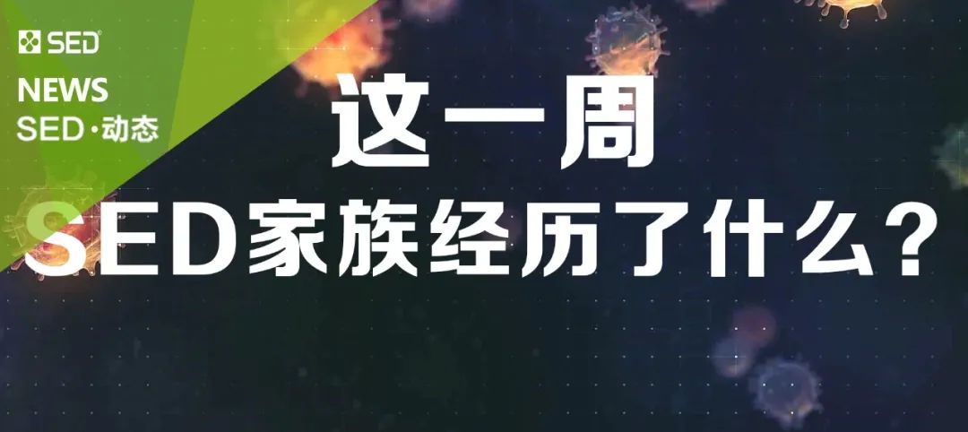 逆境中的武汉 SED 设计团队-76
