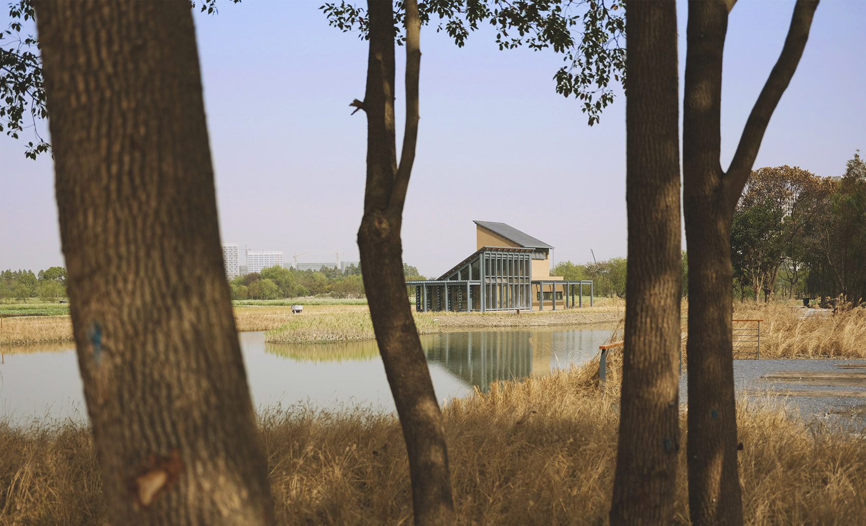 乌镇谭家湾稻田书局,浙江 / 东维建筑-8