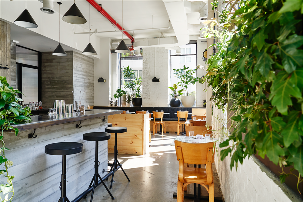 纽约威廉斯堡温泉浴场-0