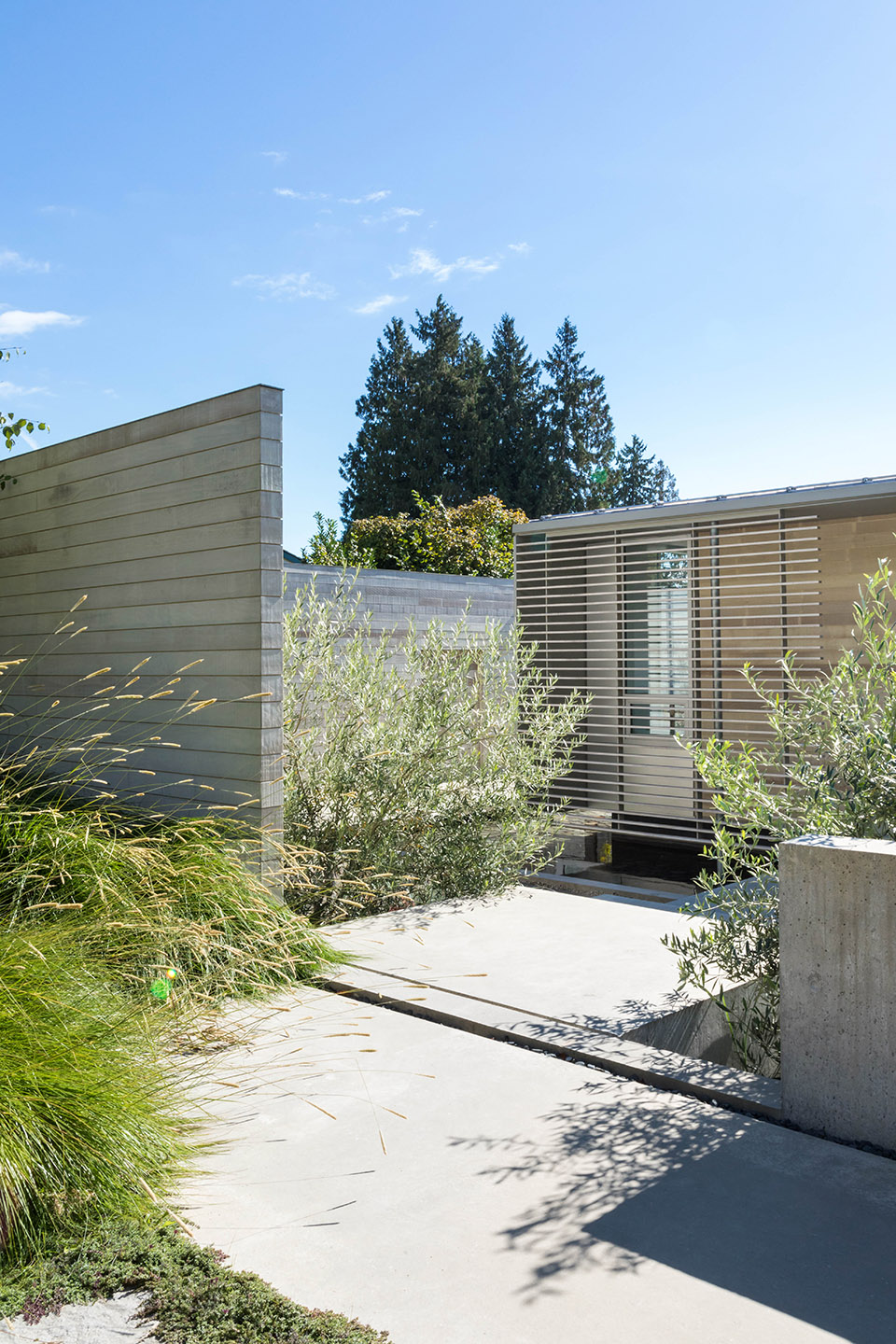 G&day 别墅,加拿大 / McLeod Bovell Modern Houses-11