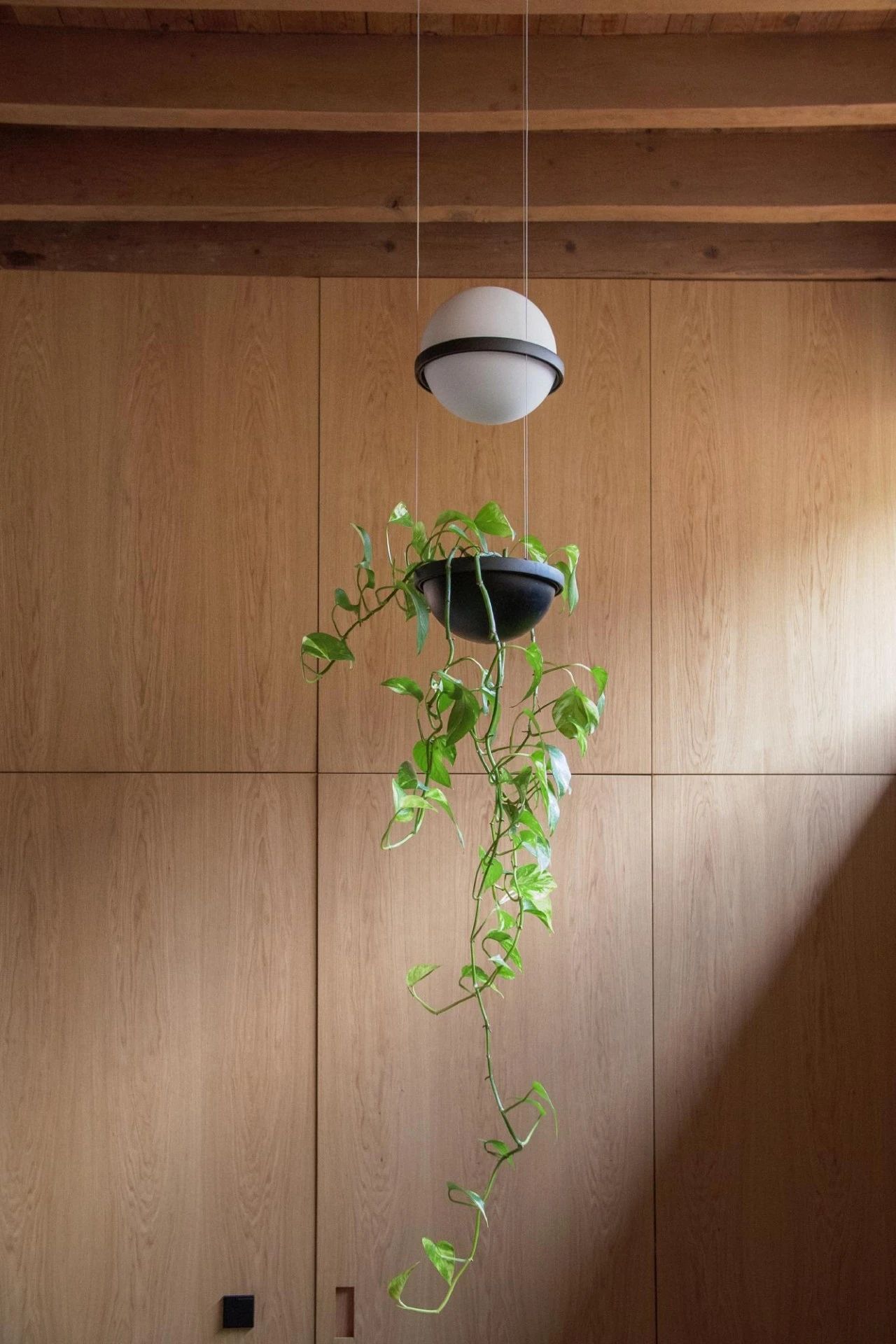 Casa Descadrell 改造丨法国丨SYMBIOSE ArchitectureDesign-18