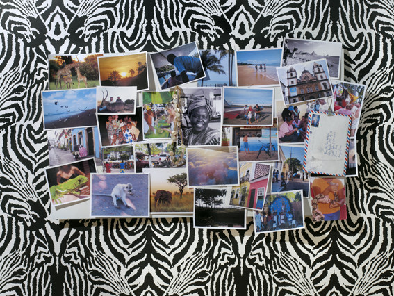 现代简约家居设计典范 | 知名设计师张三的温馨空间-49