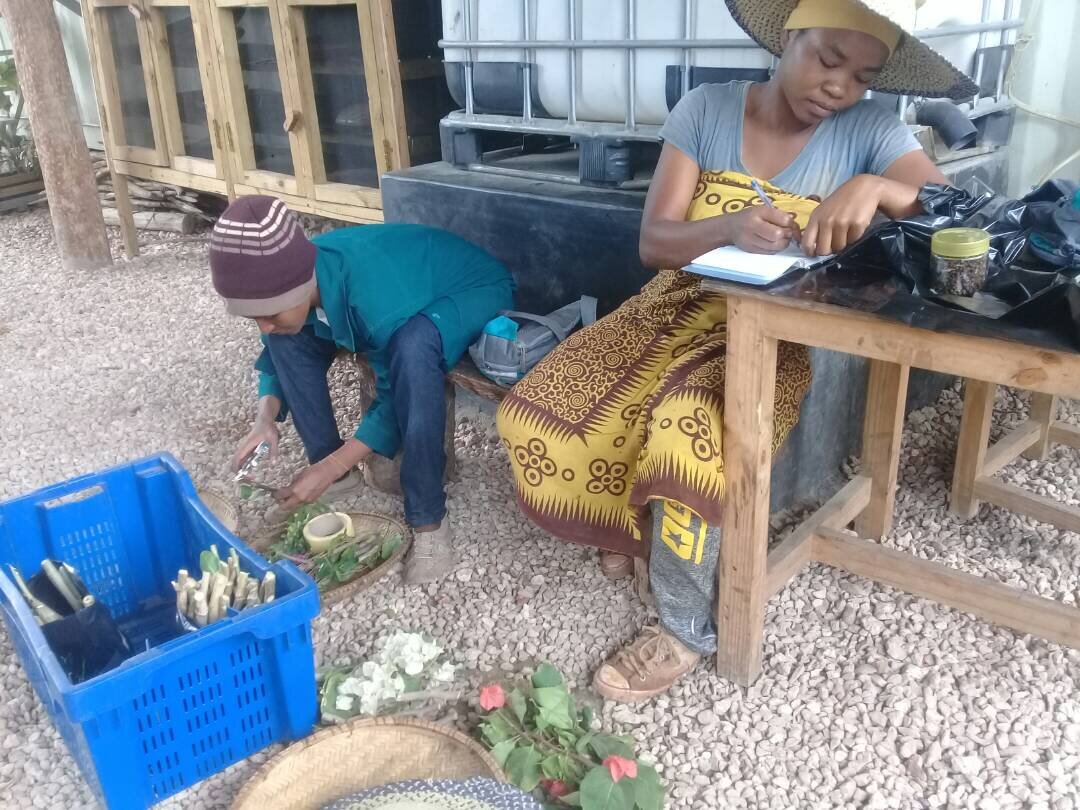 Kizikula酒店景观项目丨坦桑尼亚桑给巴尔丨Andy Hamilton,Case Design等-29