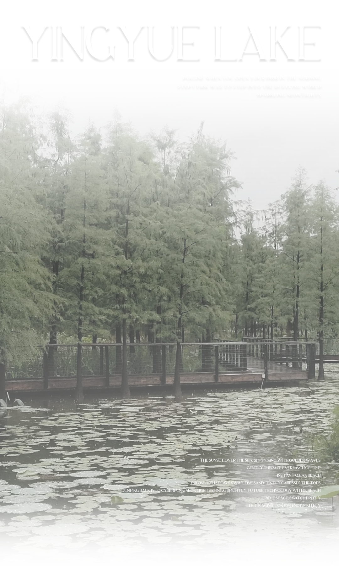 MDG首发 | 映月湖壹号 新贵雅奢艺居-5