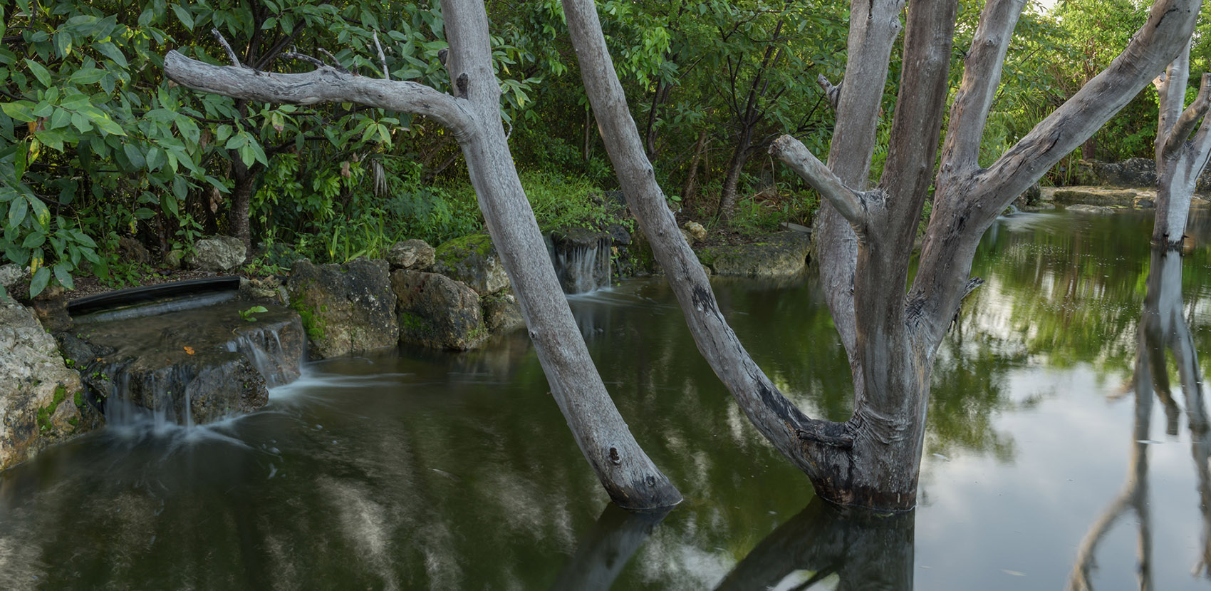 巴哈马Leon Levy原生植物保护区丨沙特阿拉伯巴哈丨不详-17
