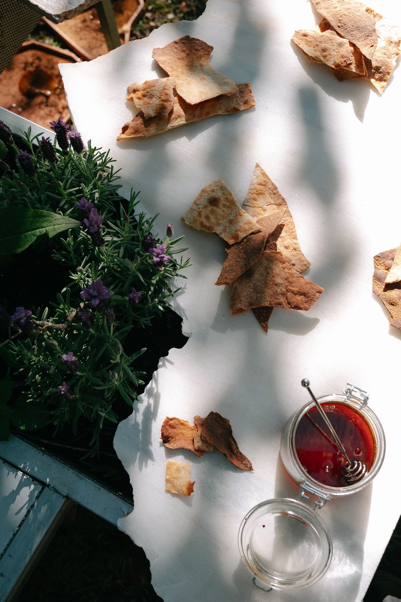 活体多物种厨房丨葡萄牙波尔图丨Fahrenheit Works-14