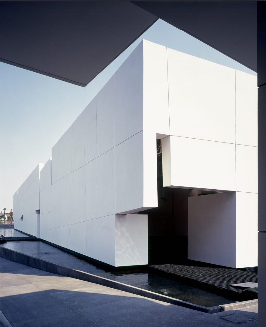 PEDREGAL Miguel AngelAragonés-0