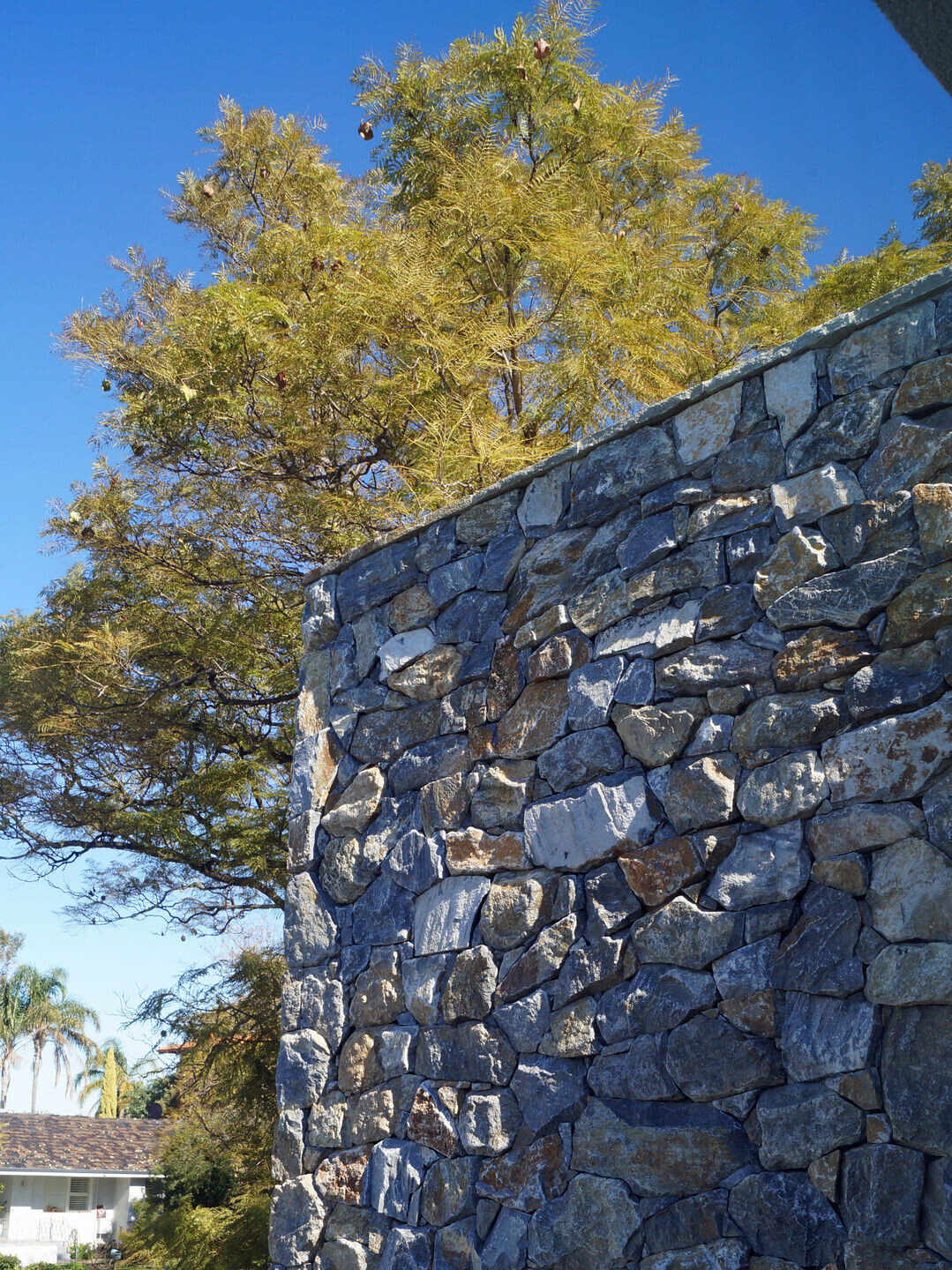 澳洲 Ardross House 现代豪华住宅设计丨Australia丨Mike Edwards Architecture-11