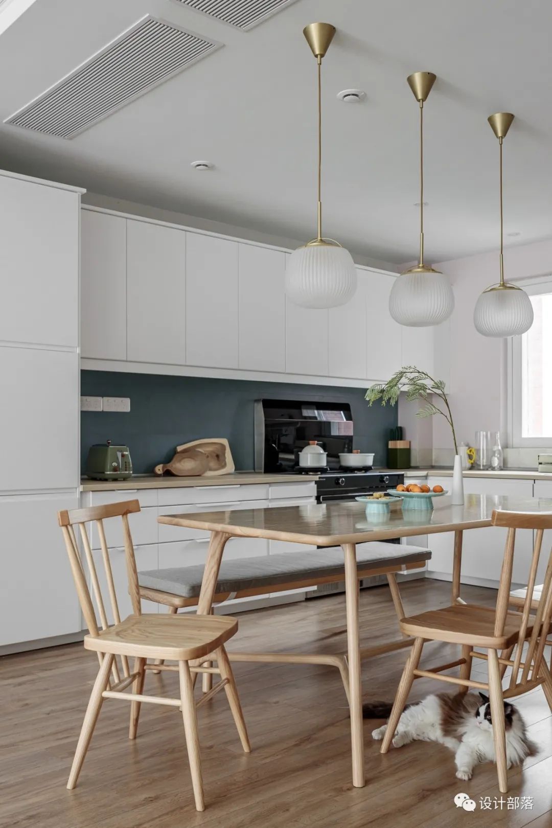 日式猫舍之家丨中国成都-55