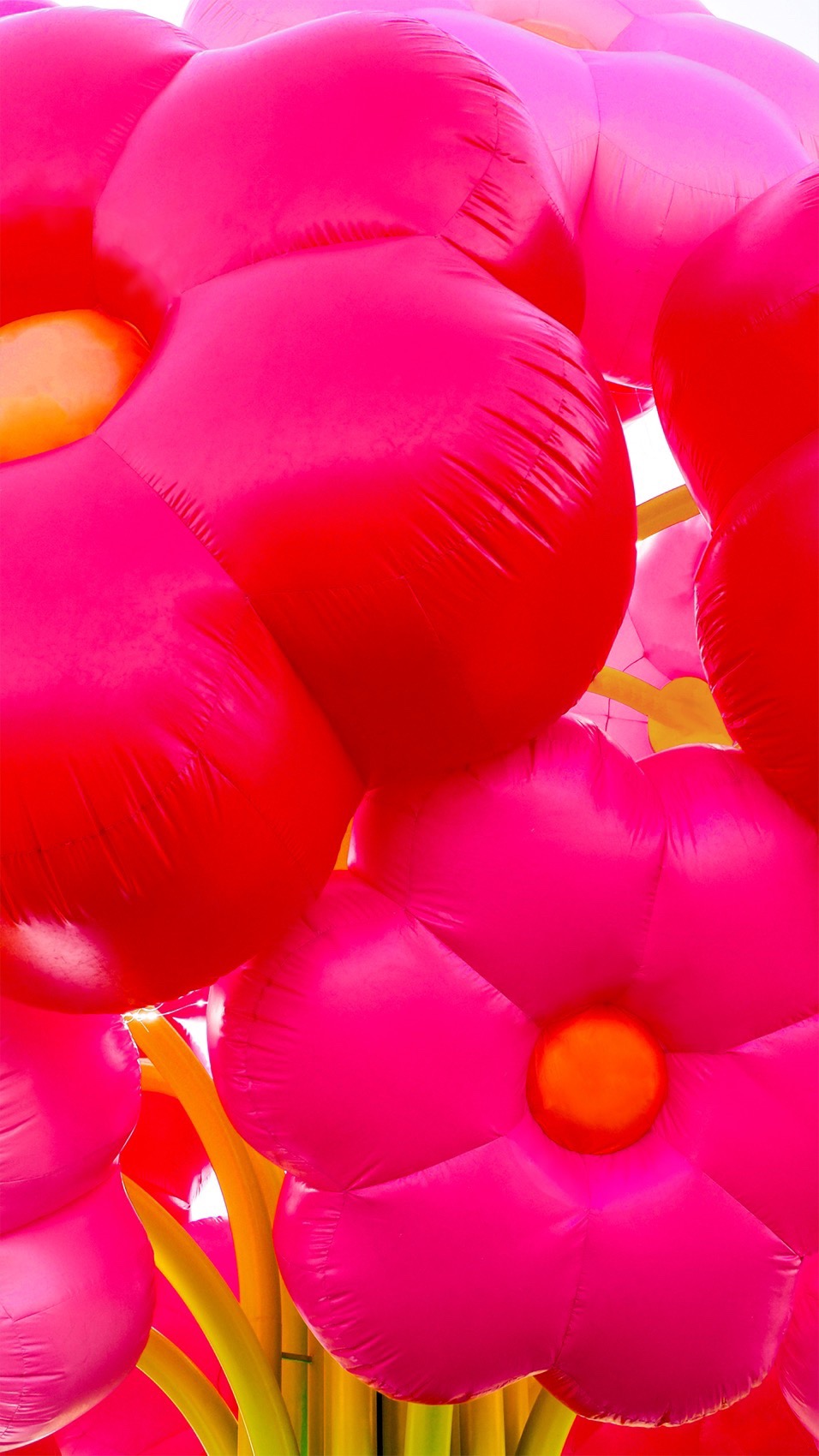 2025年科切拉艺术计划丨Public Art Company（PAC）等多位艺术家-120