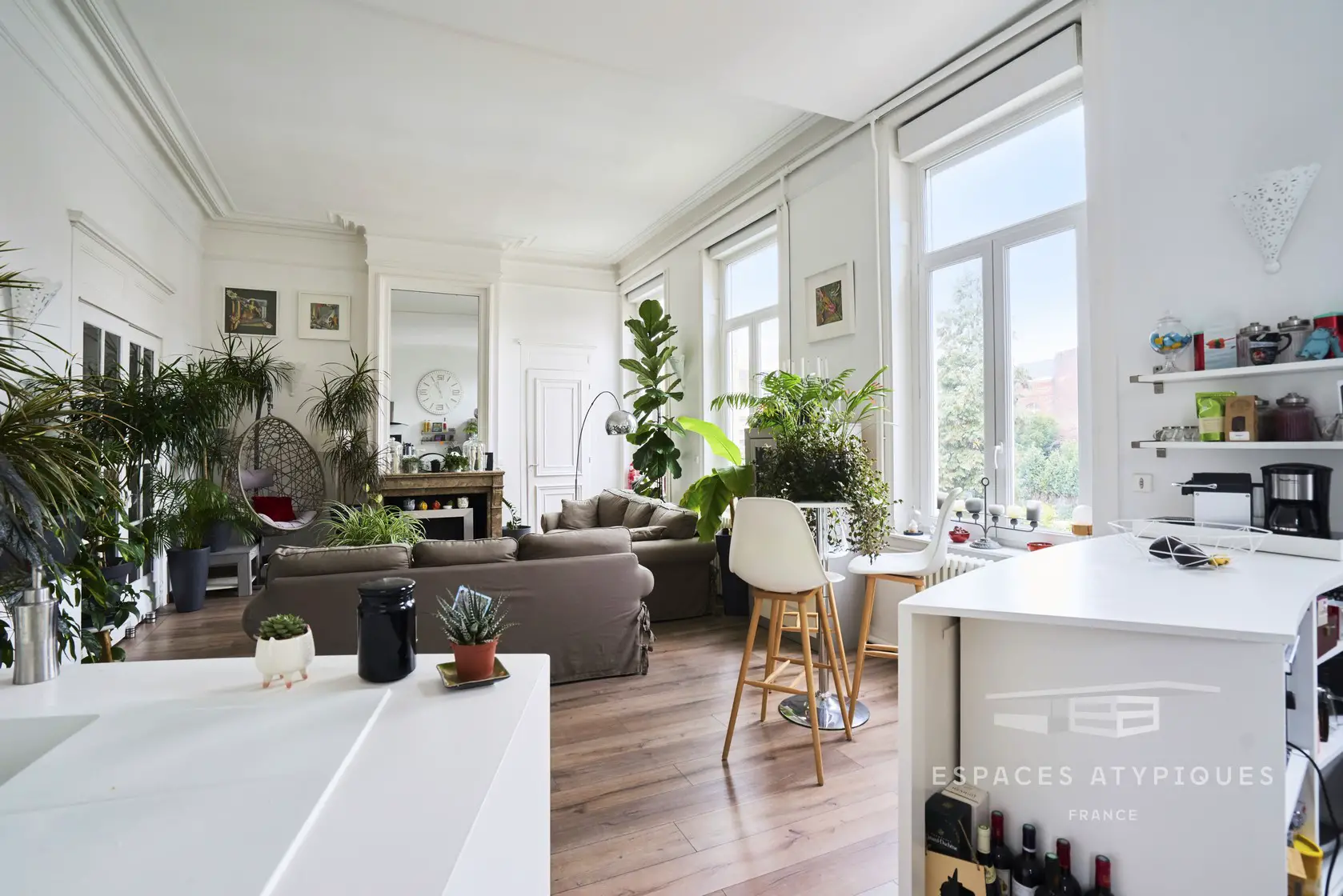 巴黎式公寓 | 绿意盎然的植物爱好者之家-3