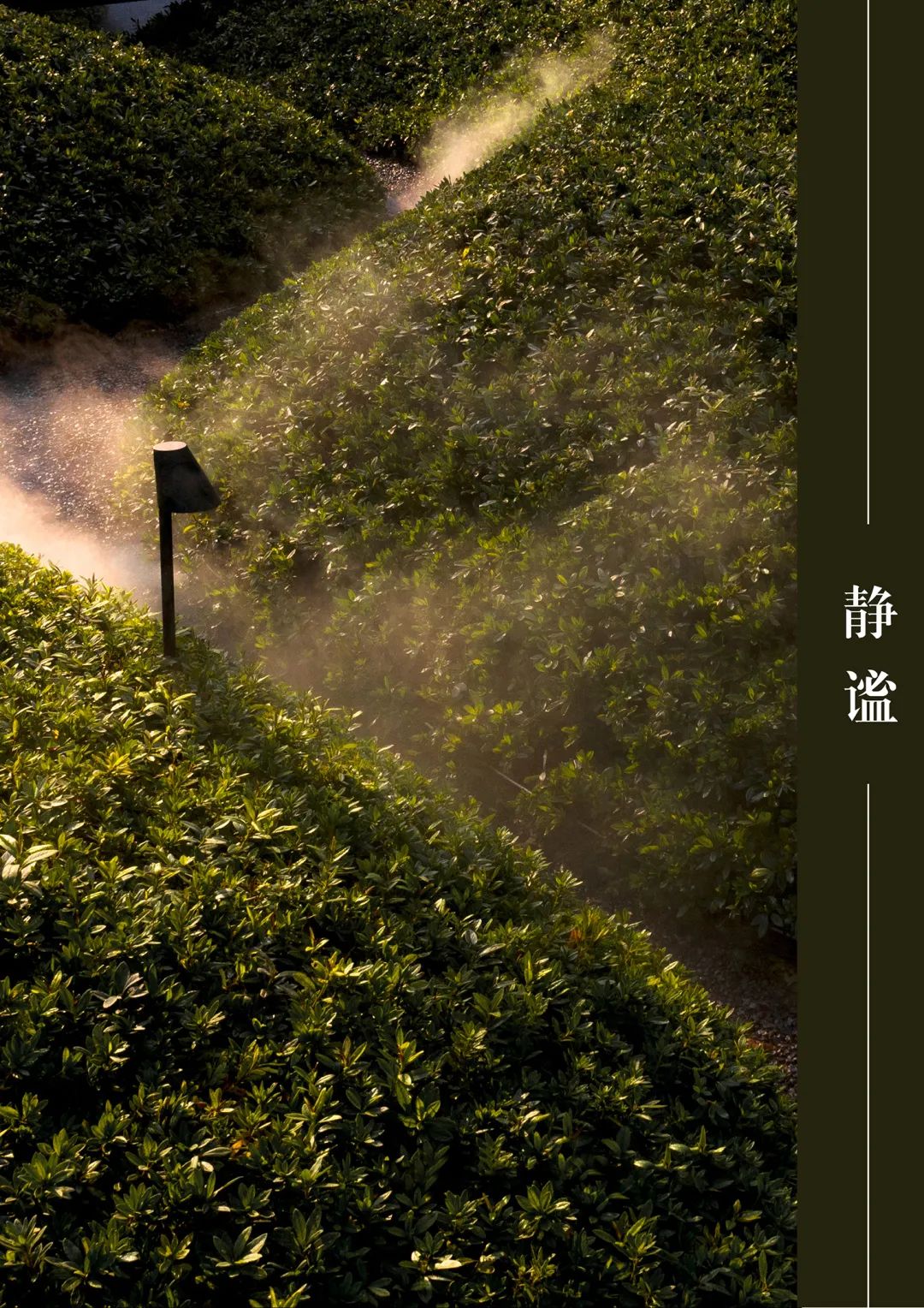 武汉龙湖·天玺体验区丨中国武汉丨上海澜道佑澜环境设计有限公司-79