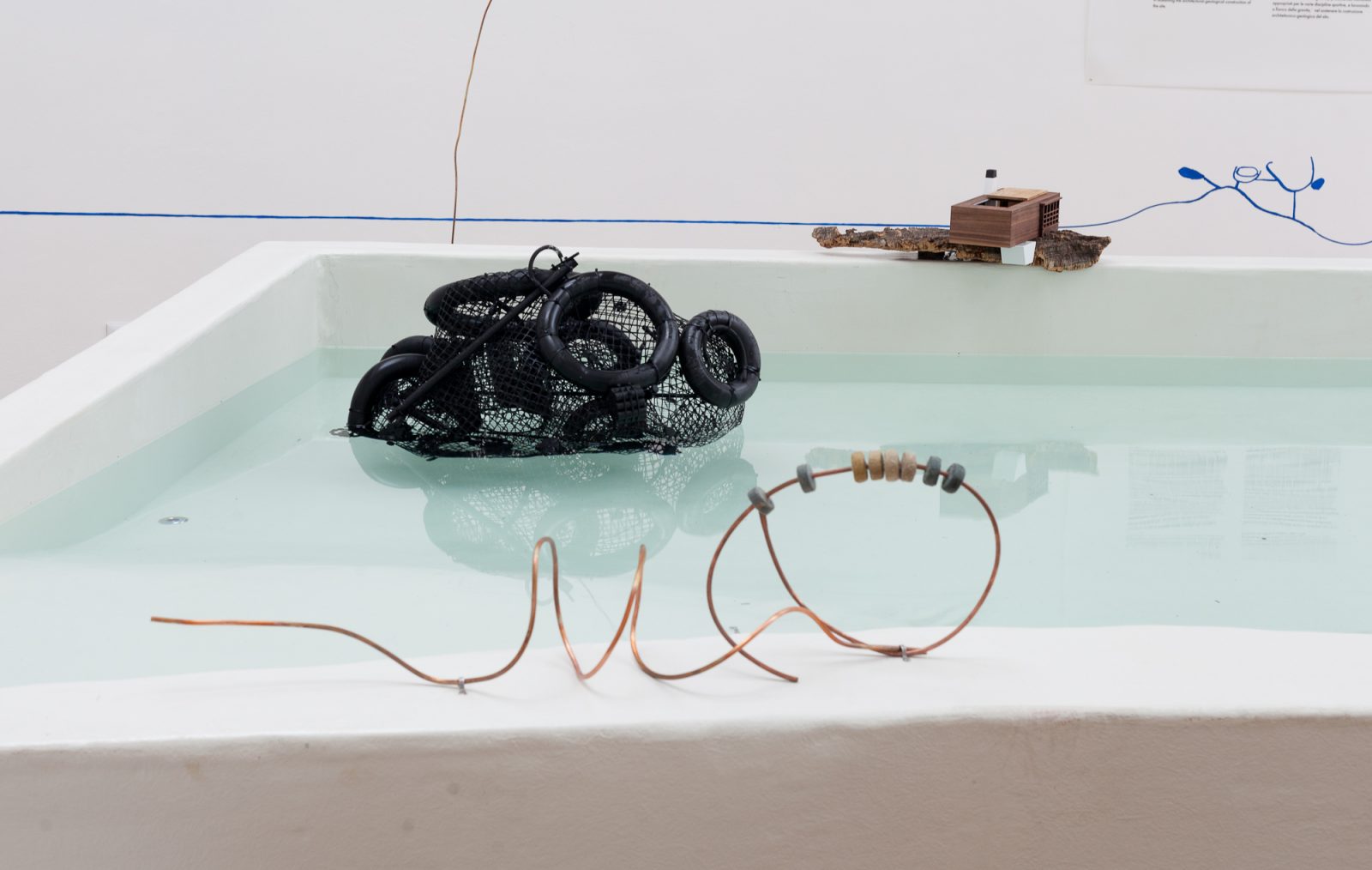 威尼斯波兰馆·CENTRALA“放大自然”展览丨法国尼斯-49