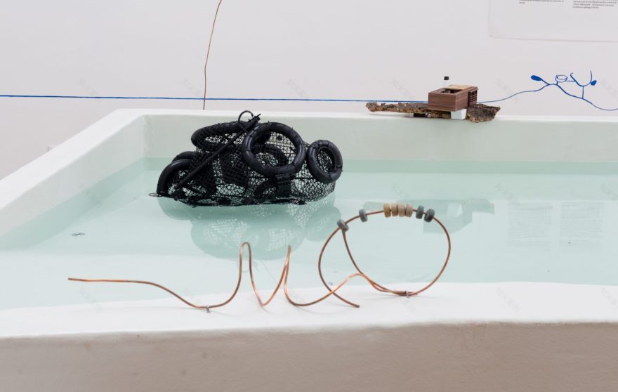 威尼斯波兰馆·CENTRALA“放大自然”展览丨法国尼斯-49