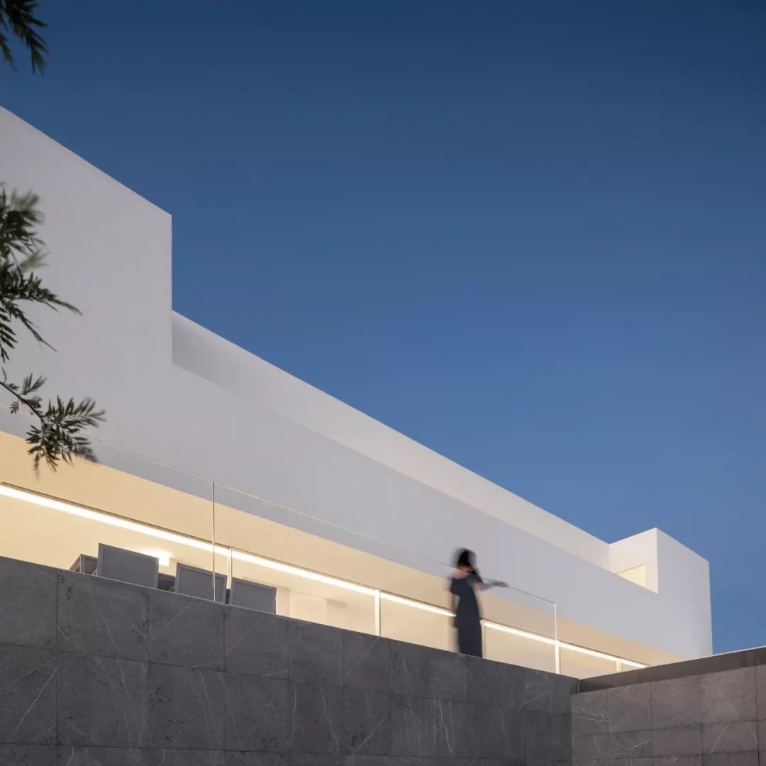 装满了的诗与远方的白色世界  Fran Silvestre-31