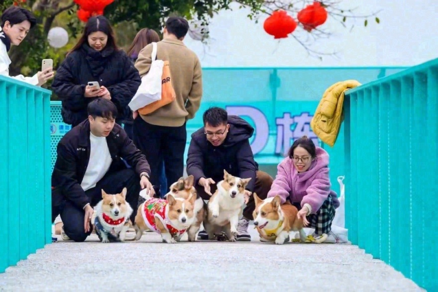 佛山龙江老街粮油饲料副食综合市场及周边改造丨中国佛山丨竖梁社-59