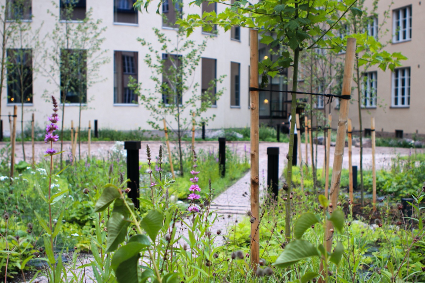 Scandic Grand Central Helsinki Courtyard | 绿色秘境酒店庭院设计-18