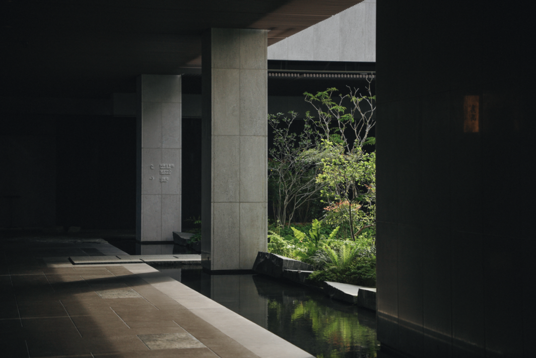 山岚褶皱处的寂静生长|阿那亚三亚景观秘境诗学-183