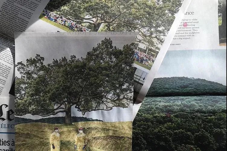 Myriam Dion 报纸改造艺术-21