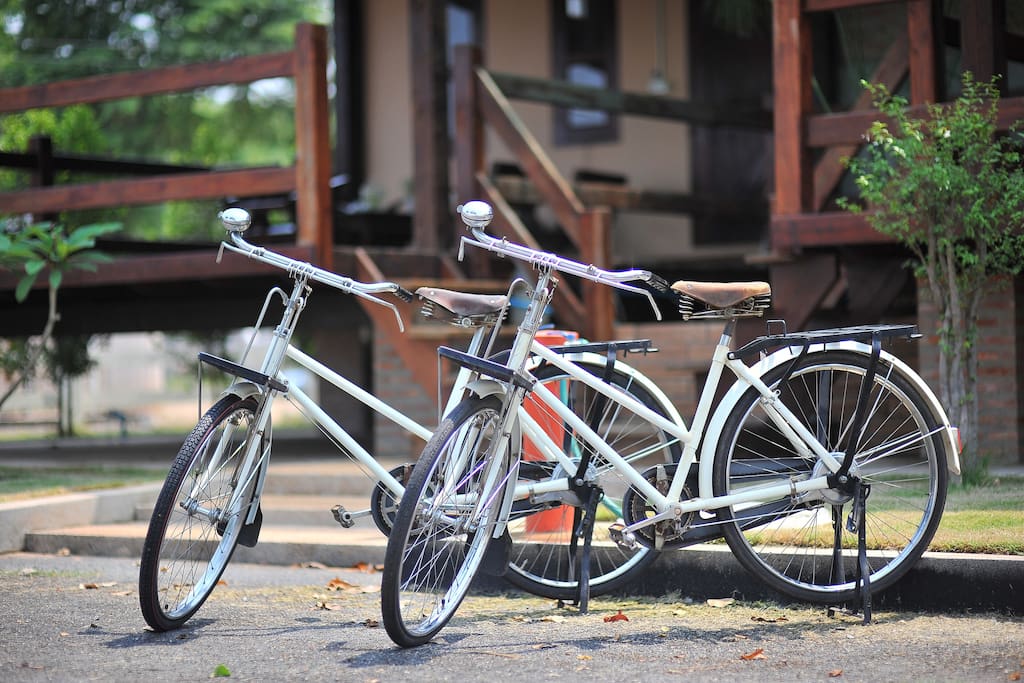 单层抬高地台带中央鱼池的现代风格住宅-10