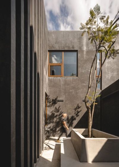 新作|House of Ashes TACO taller de arquitectura contextual 2026 墨西哥-15
