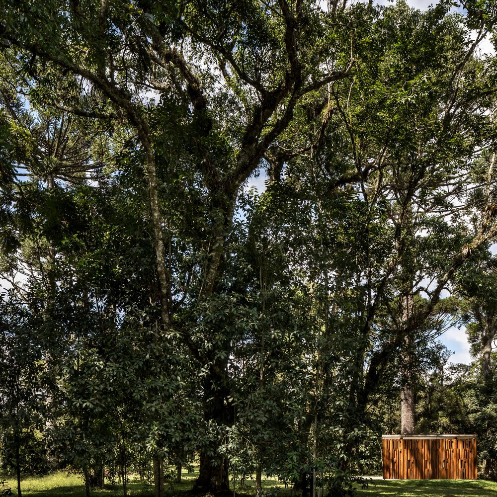 巴西玛丽亚卡塔琳娜教堂丨Canalli Arquitetura-7