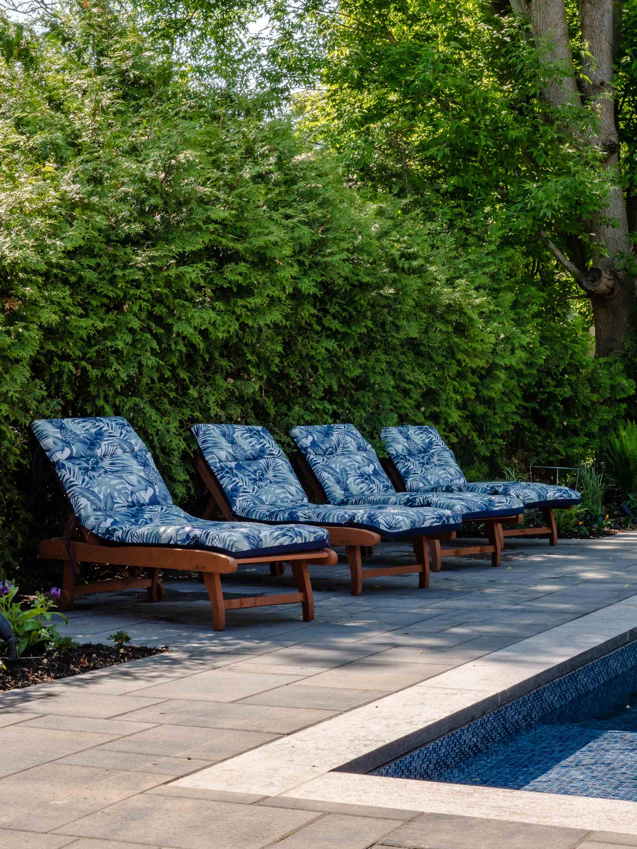 小屋之梦丨Kingsridge Building Group-23