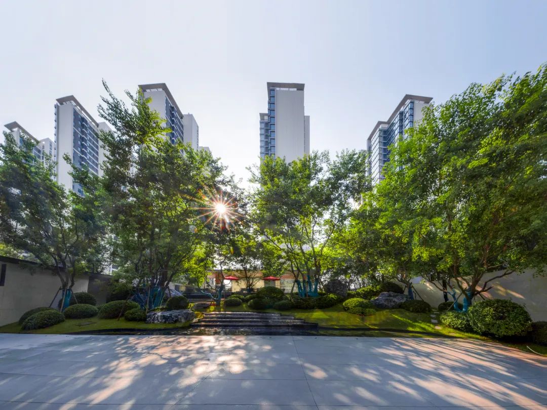 金沙操盘 | 成功经验：从河南火到全国各地（实地考察+主题演讲）-85