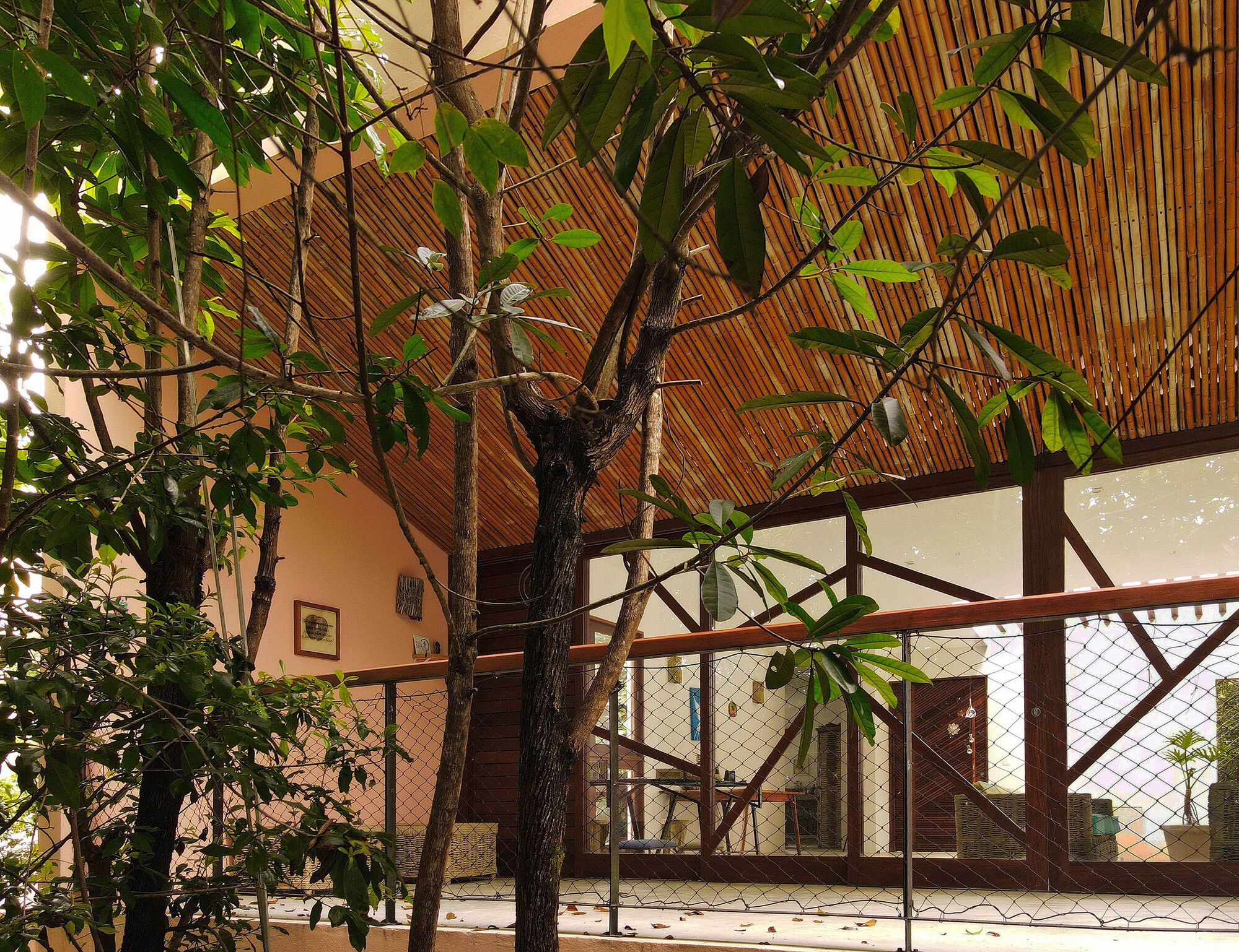 玛塔之家丨巴西-7