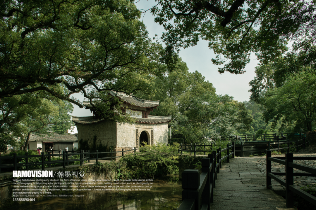千年樟树下的茶室 · 沈墨设计的古堰画乡茶空间丨中国丽水丨杭州时上建筑空间设计事务所-7