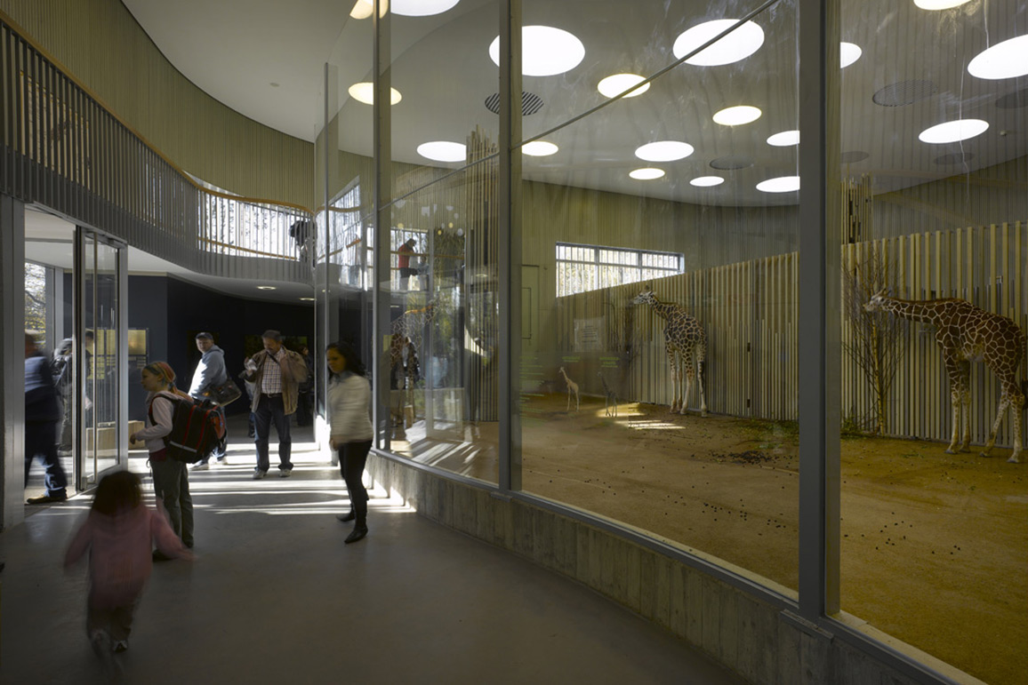 Zoologischer Garten Dresden, Giraffen- und Zebraanlage - hw-7