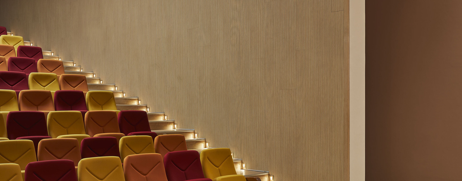 知识之墙中学-63