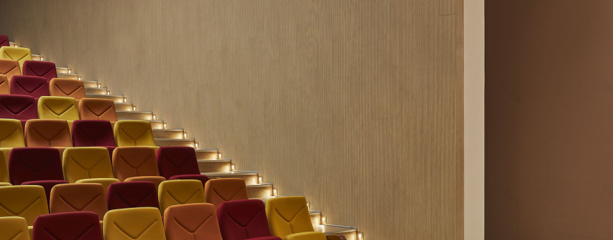 知识之墙中学-63