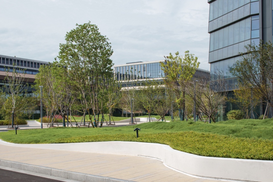 常州合全药业研发园区景观设计丨中国常州丨上海易栖建筑设计有限公司-36