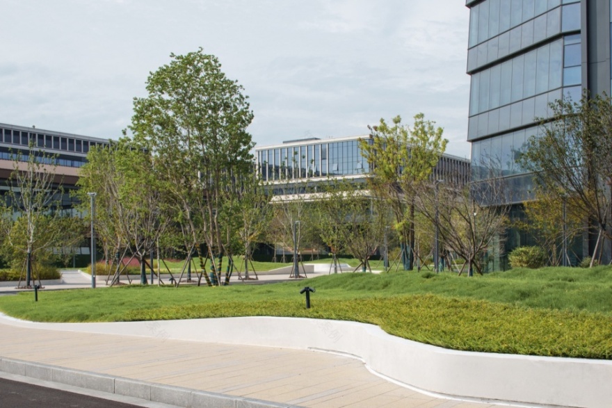 常州合全药业研发园区景观设计丨中国常州丨上海易栖建筑设计有限公司-36