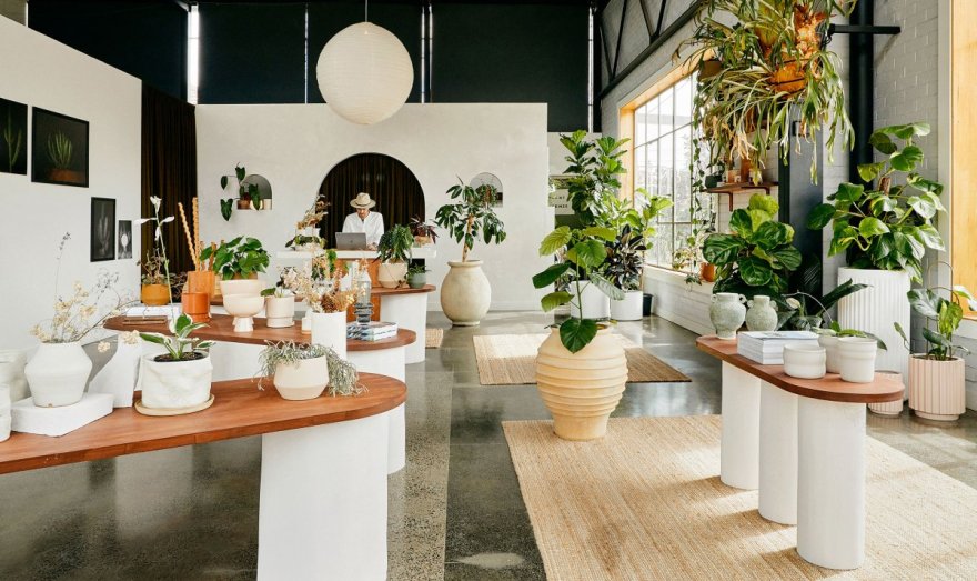 Plant Charmer 零售空间设计-3
