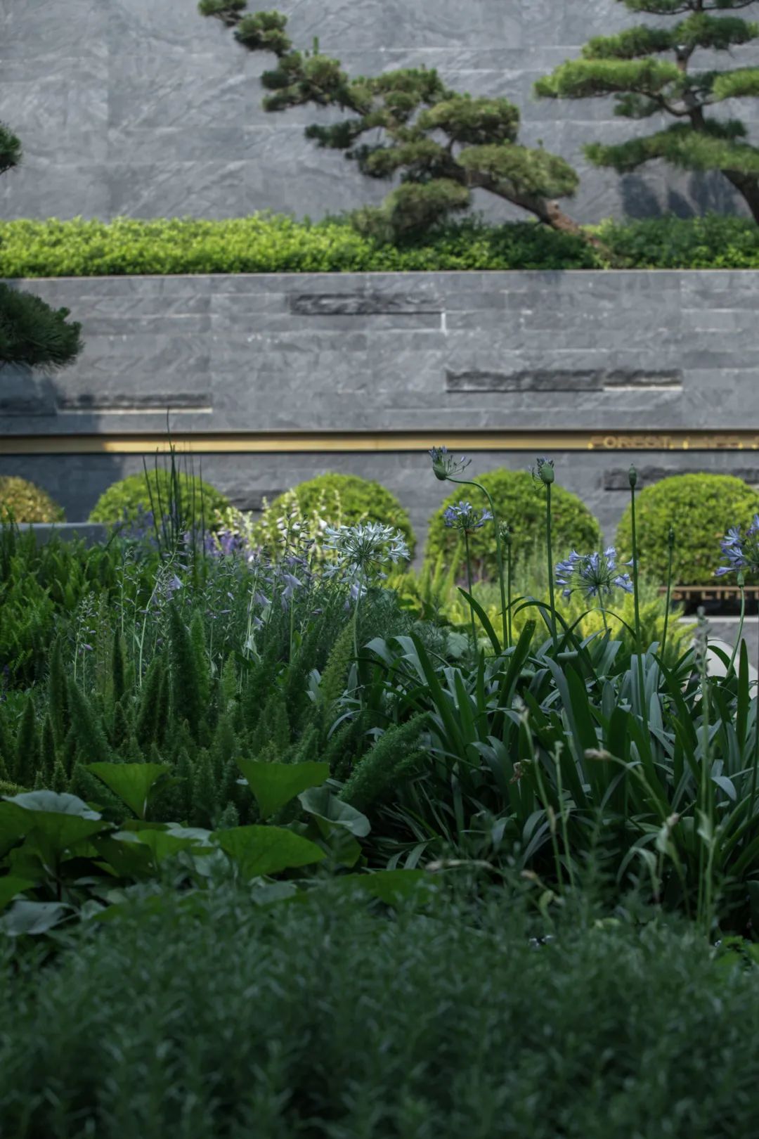 和熙碧影迎明月 | 绿城·沁香园-27