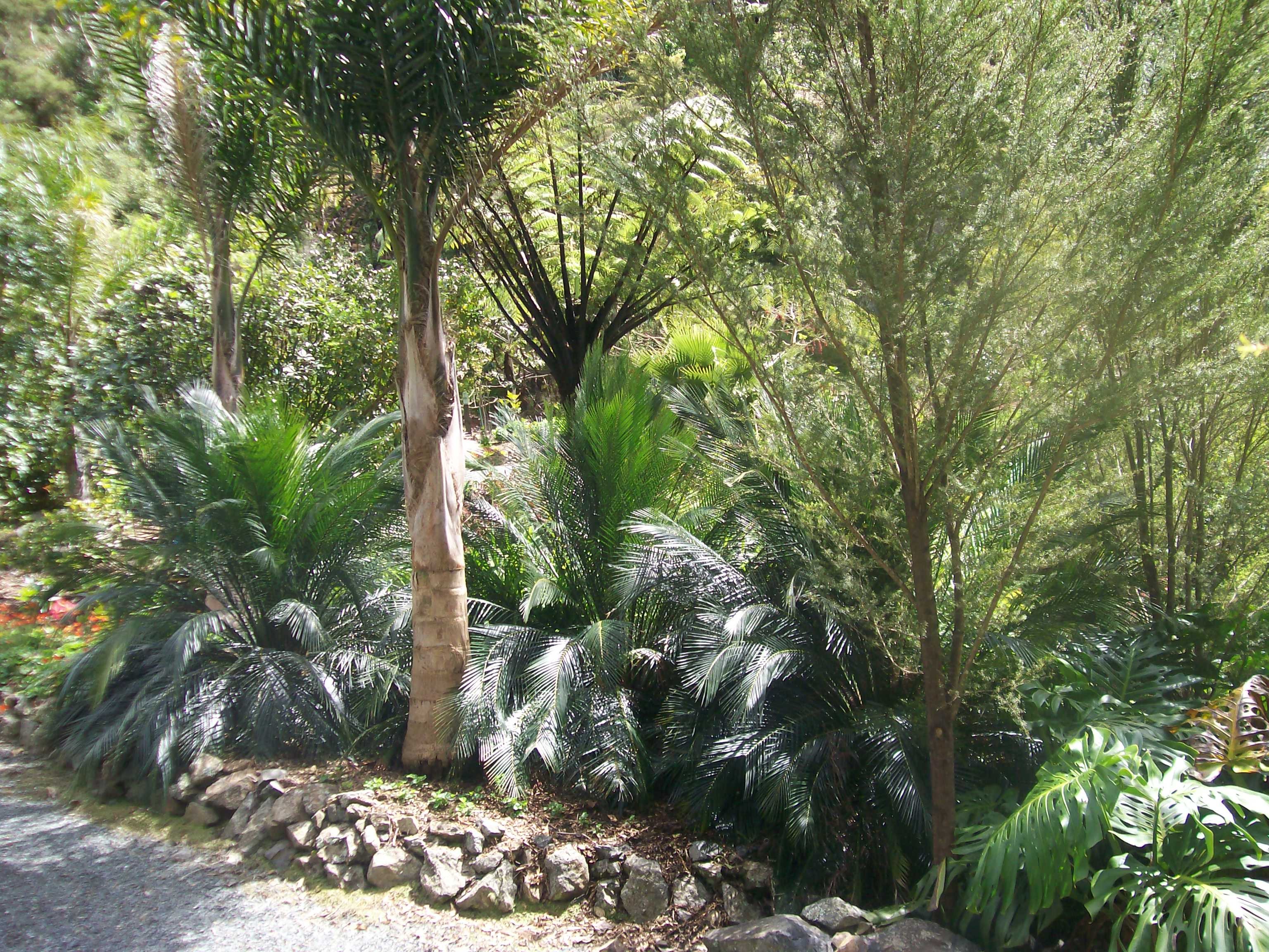 丨无相关信息-1