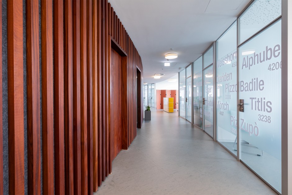 瑞士驻莫桑比克马普托大使馆改造项目-10