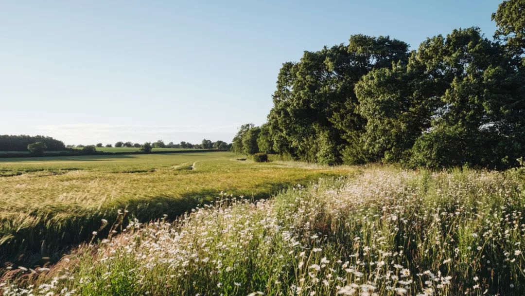 野花农场度假村丨美国纽约丨Auberge Resorts Collection-3